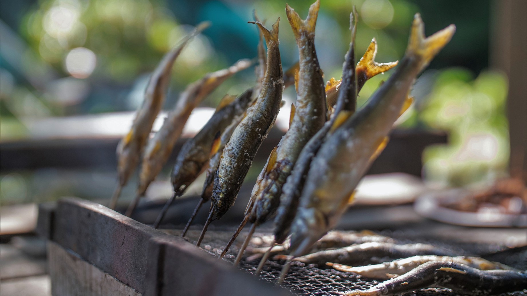 川の恵鮎の塩焼き