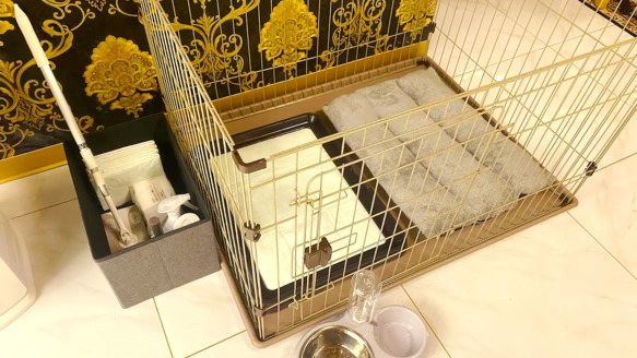 ？？お部屋？？愛犬ルームのドッグサークルやクリーンセット