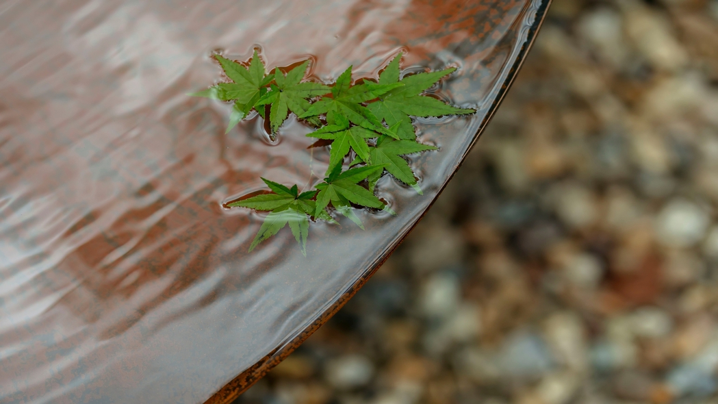 【fiore】庭四季を感じる緑豊かな庭