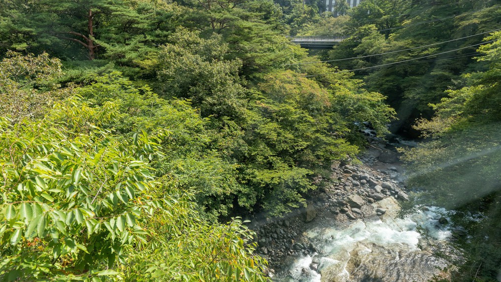 ファミリー【楽湯付】303号室