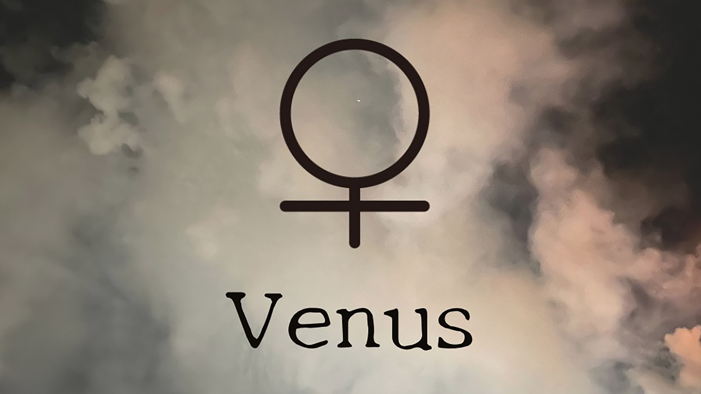 客室【Venus】