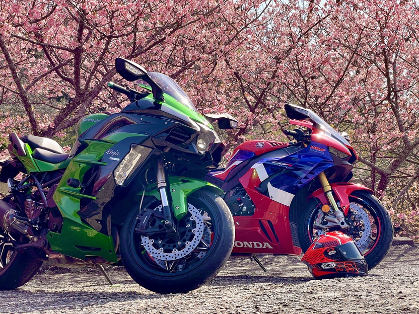 河津桜とバイク