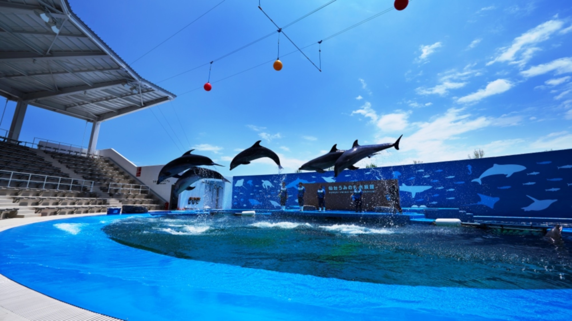 仙台うみの杜水族館