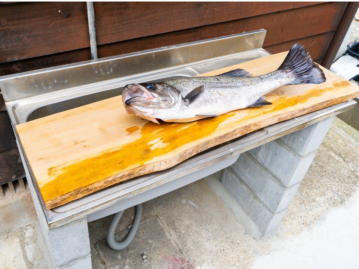 ご自身で釣った魚を調理できる捌き場完備
