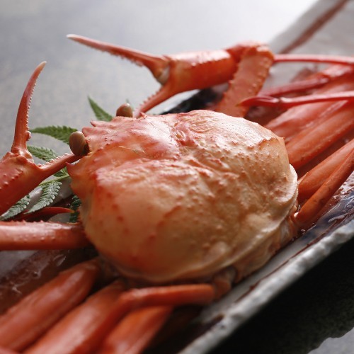 9月解禁紅ずわいカニ