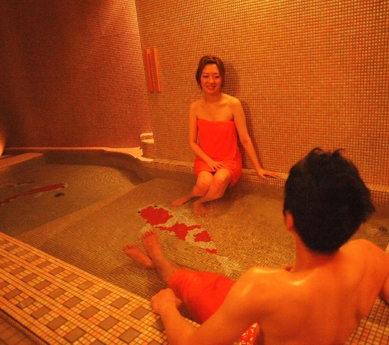 恋待ちの湯新館「陽邸さなえ田」