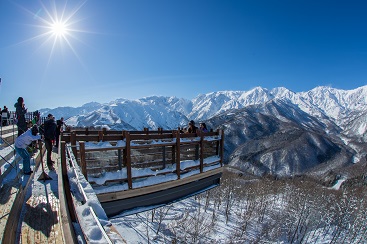 岩岳スノーフィールド