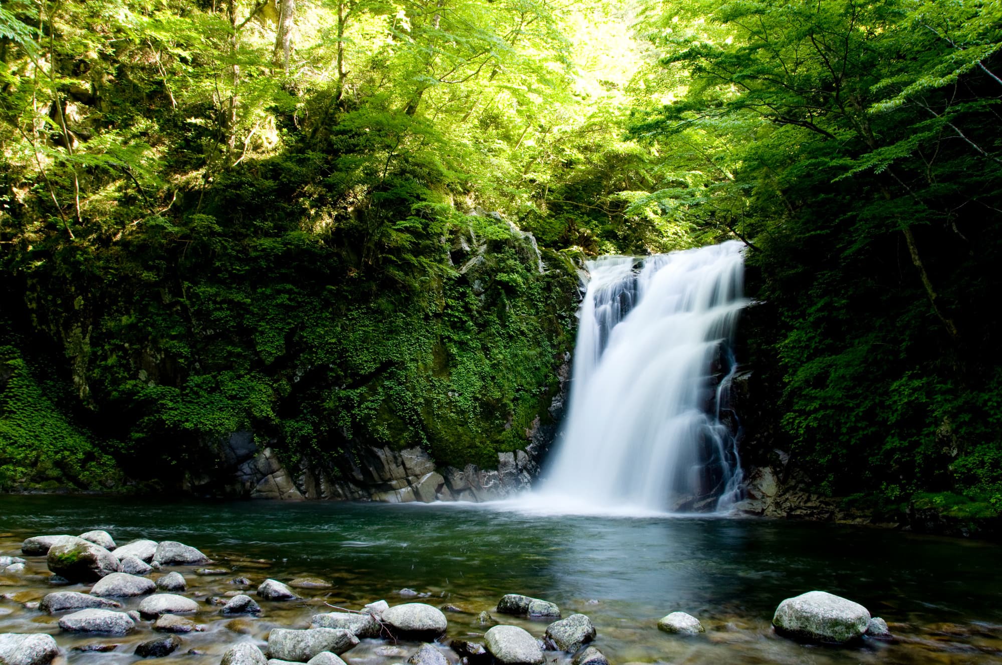 浅見川大滝