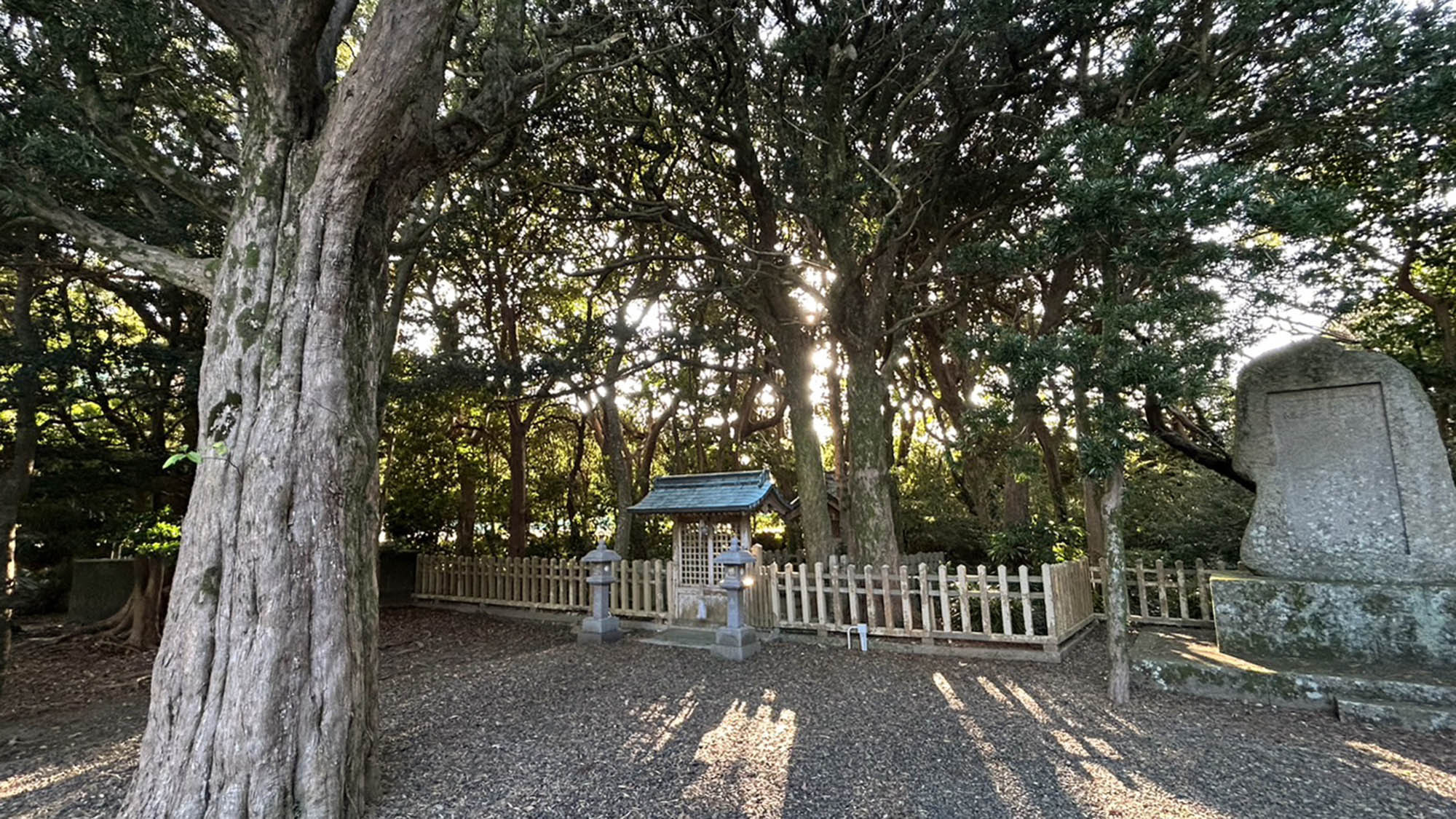 ・【潮崎本之宮神社】ビャクシンを身近に感じられるこの場所はまさにパワースポット