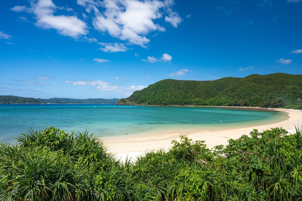 ・【VILLA1プレミアム：展望台】展望台から一望できる蘇刈ビーチ