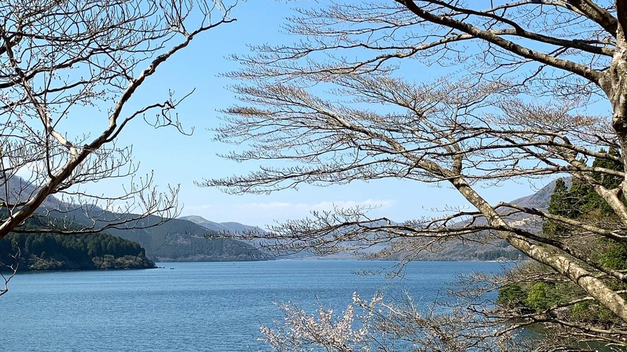 ・【芦ノ湖】四季折々の芦ノ湖の景色をお楽しみいただけます