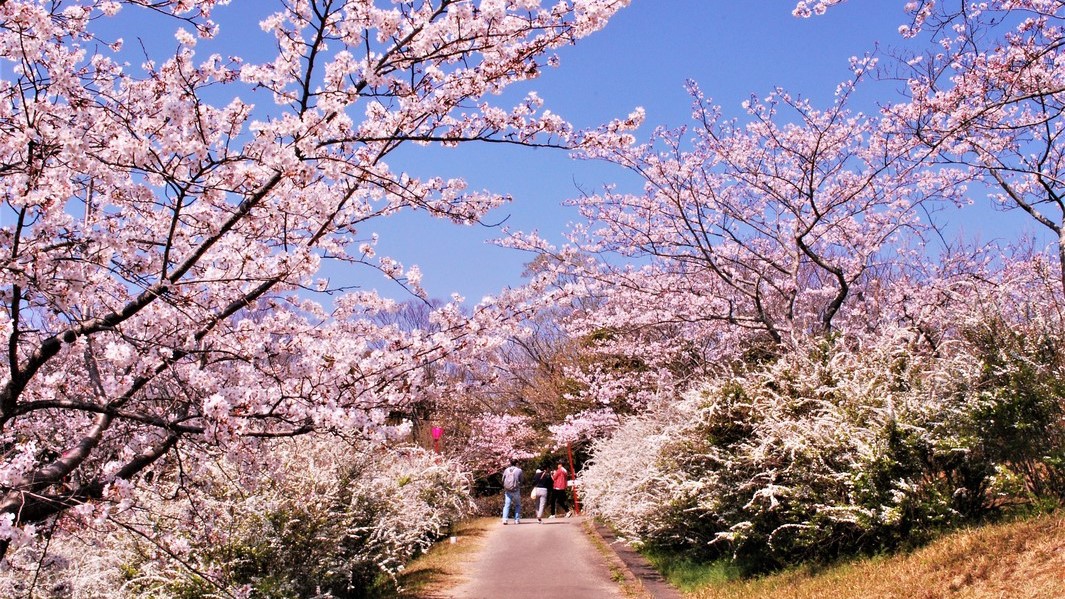 平草原公園