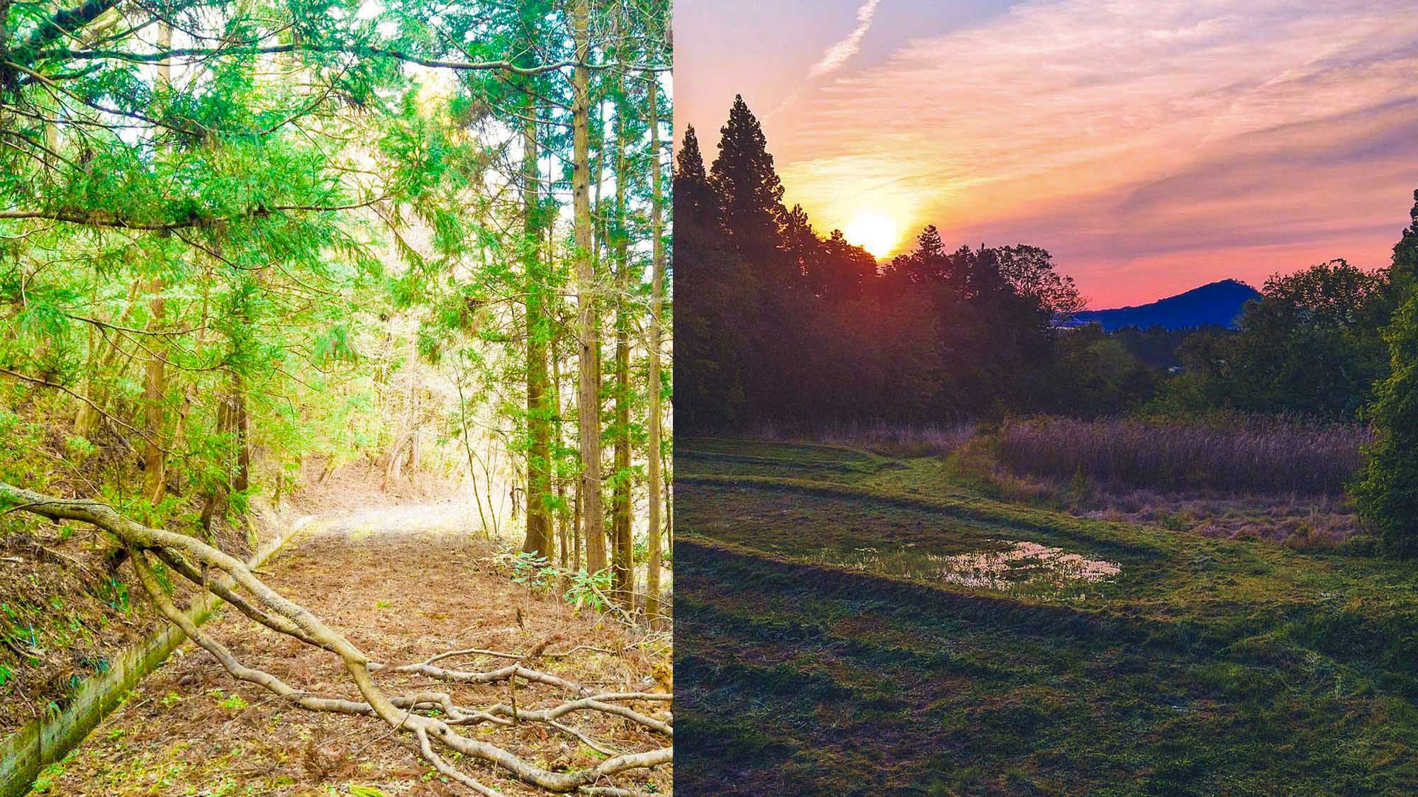 ・【風景】周りには魅力的なスポットが沢山！自然の美しさを味わえます