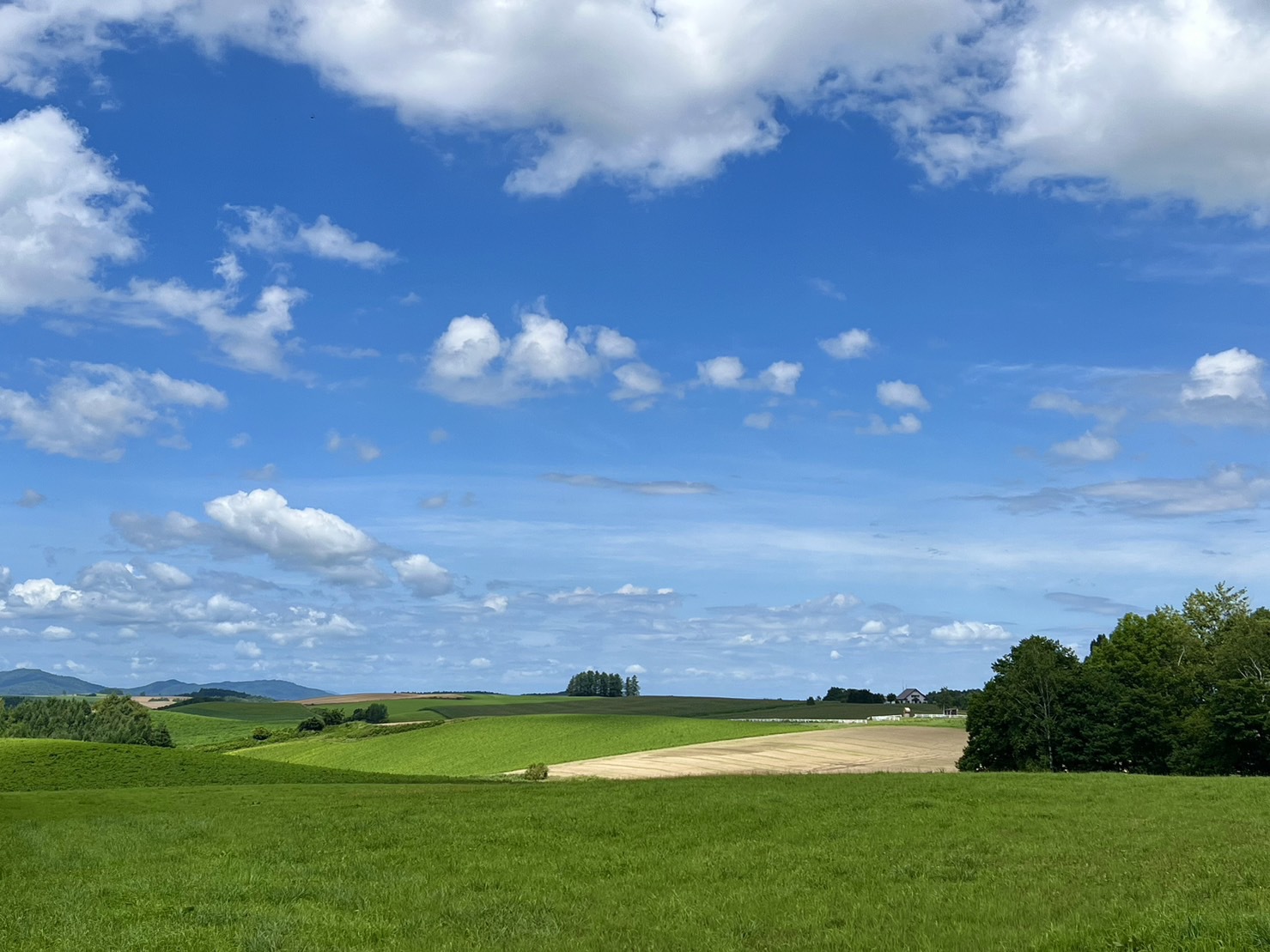 お庭からの風景（新栄の丘）