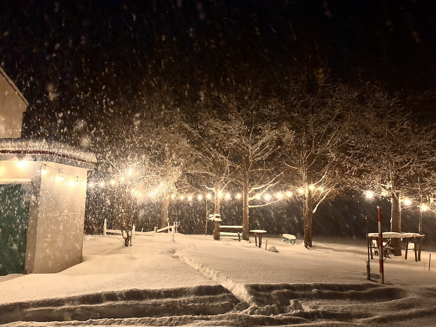 お庭の雪景色（冬）