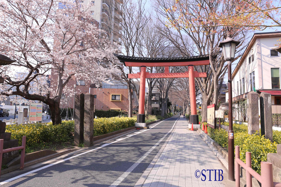 武蔵一宮 氷川神社（参道一の鳥居）さいたま新都心駅から氷川参道一の鳥居までは、徒歩約10分