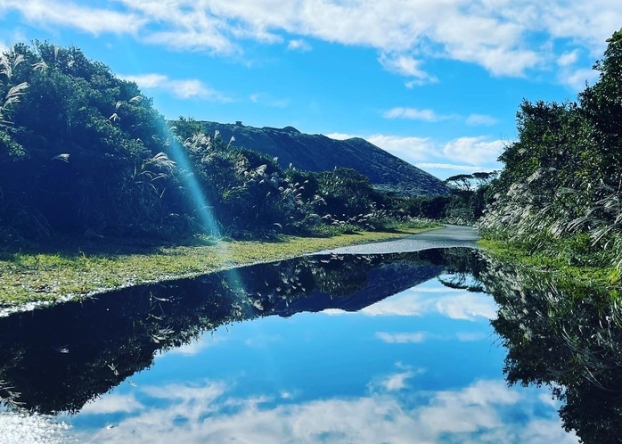 ・大島の大自然