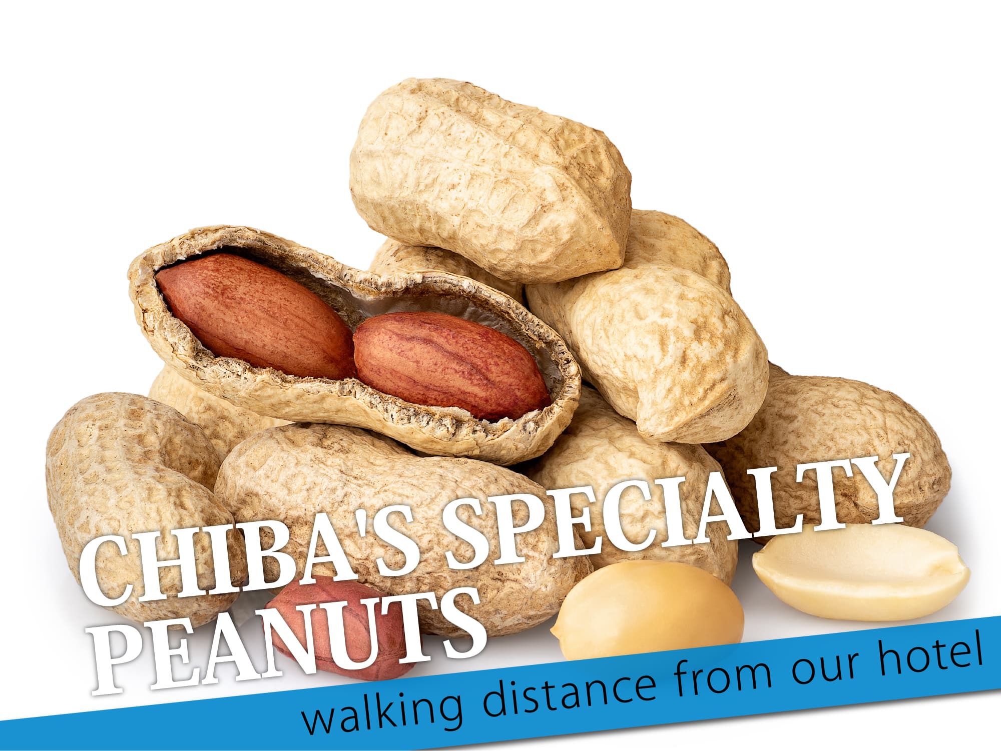 Chiba's Specialty Peanuts （千葉名物落花生）
