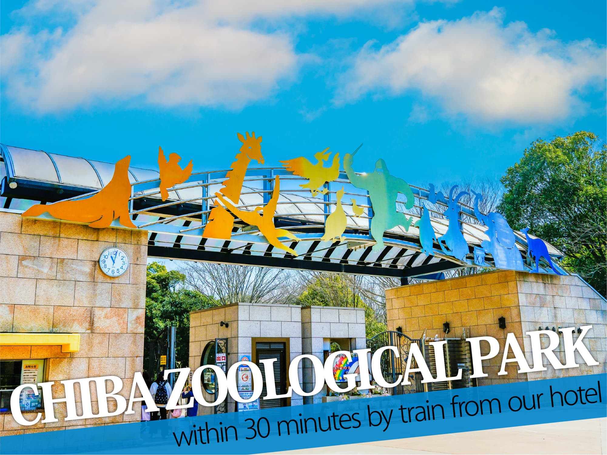 Chiba Zoological Park（千葉市動物公園）