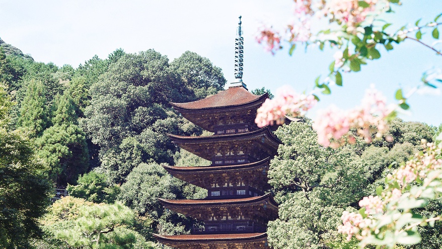 国宝の瑠璃光寺 五重塔。ホテルから車で10分の有名観光地。庭園では季節で違った美しさが味わえます。