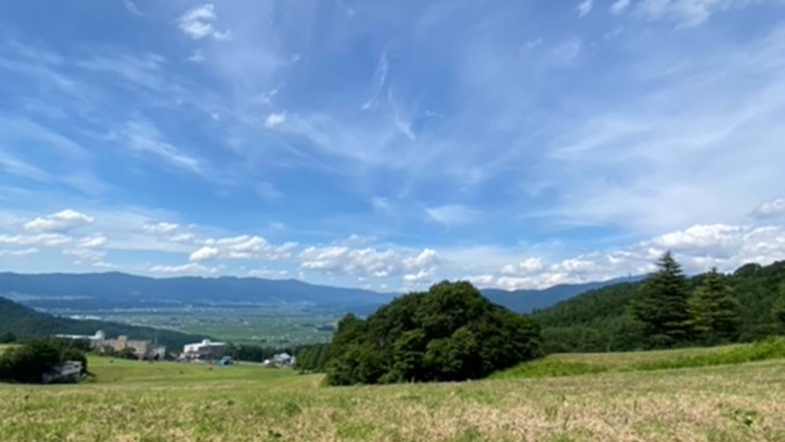 夏周辺景色