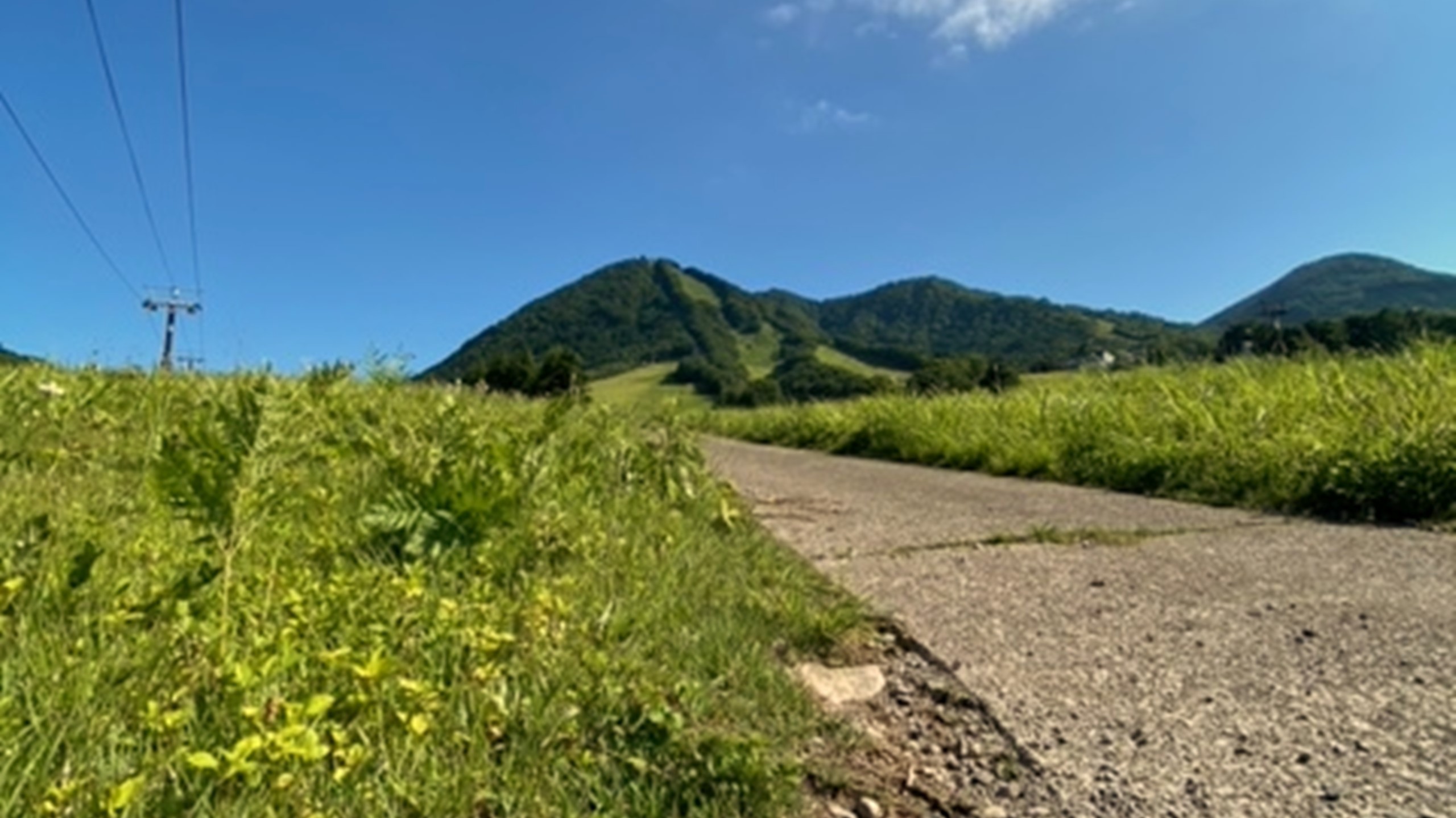 夏周辺景色