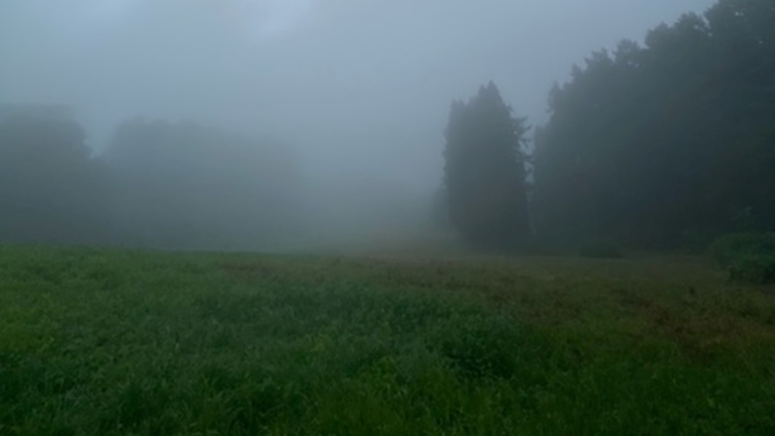 夏周辺景色