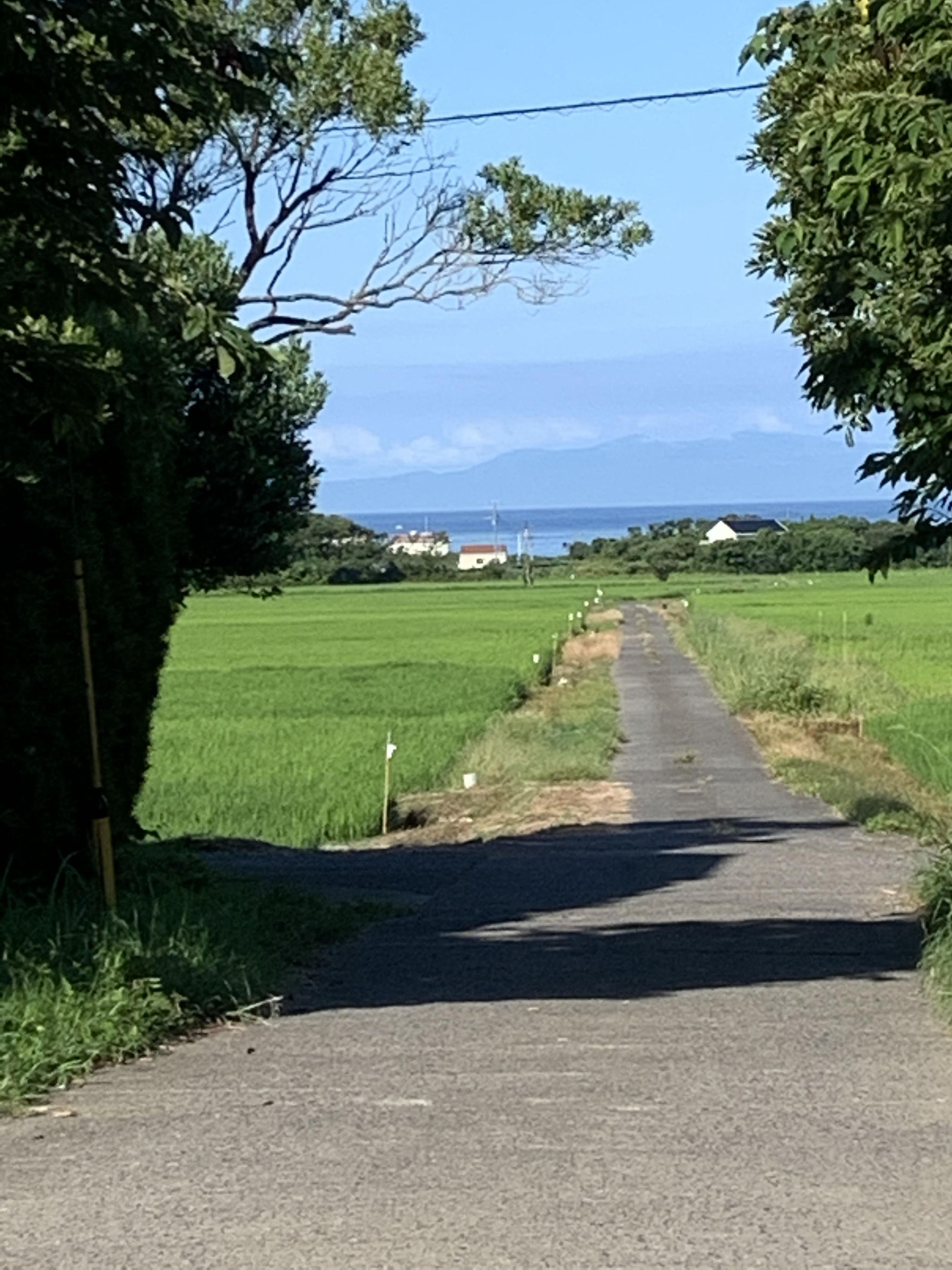 宿のまえの小路から