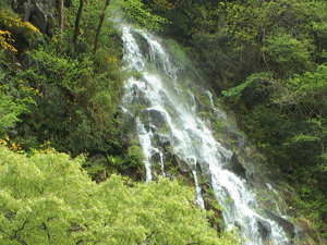 幻の滝・樽滝