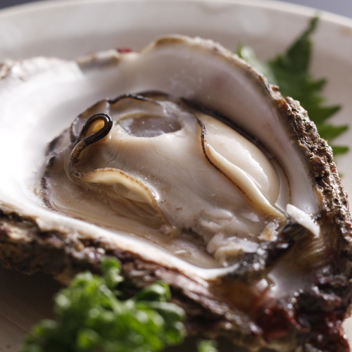 夏のグルメ食材「岩牡蠣」／例