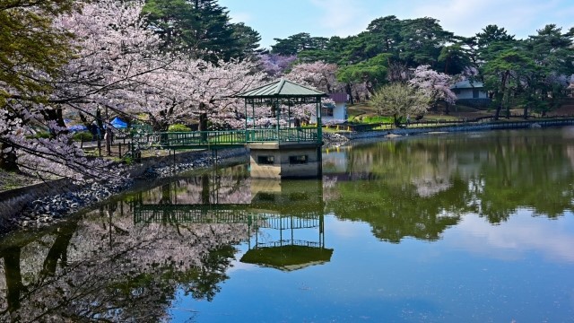 大宮公園