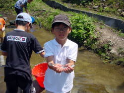 ニジマスのつかみ取り