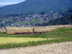 実りの秋