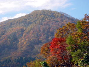 里山の紅葉