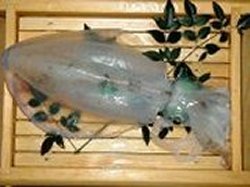 Wakasatsunegami Sugimoto Image 3, Obama, Japan