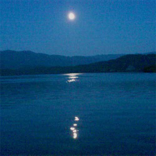 月夜の水月湖