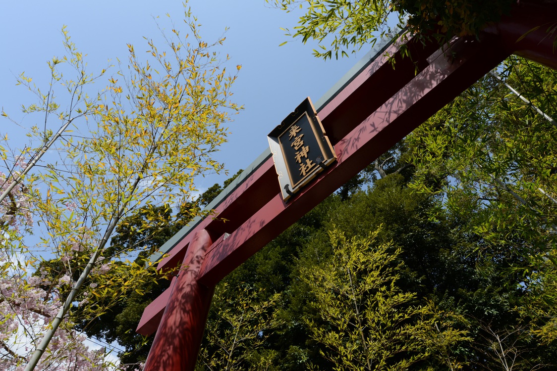 来宮神社朝