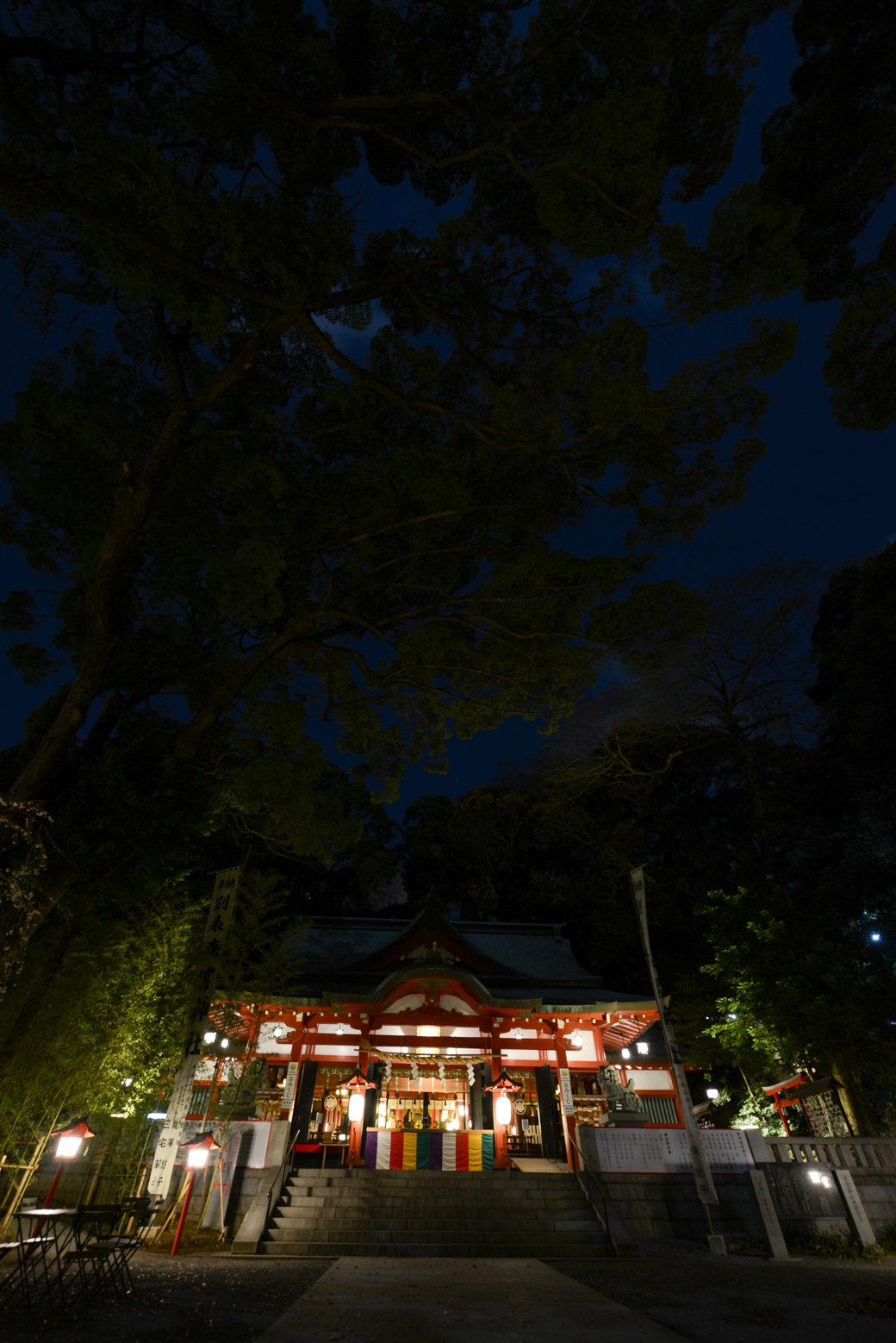 夜の来宮神社③