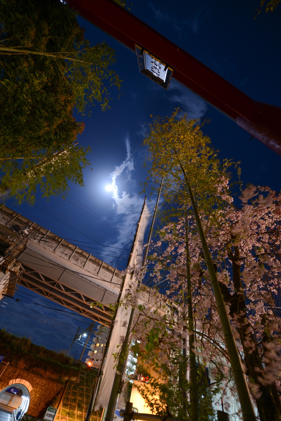 夜の来宮神社