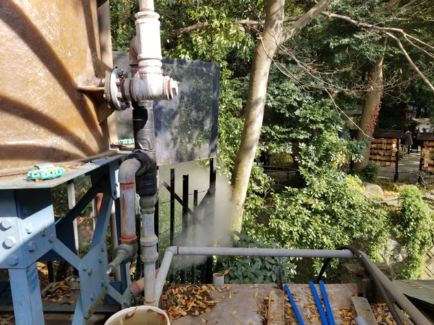 源泉楠湯から来宮神社大楠