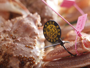 柴山ゴールド！