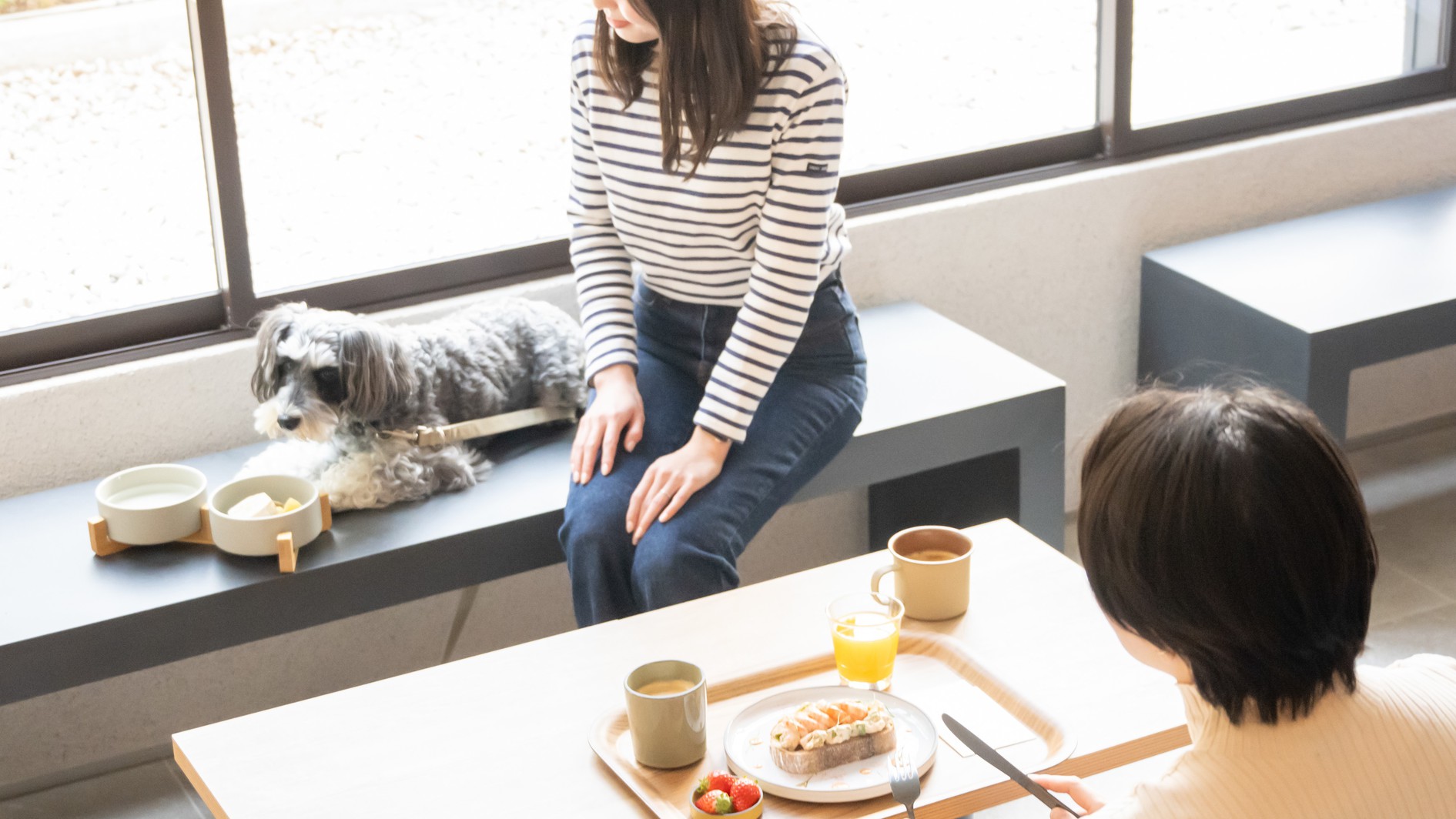 doggy用朝食イメージ