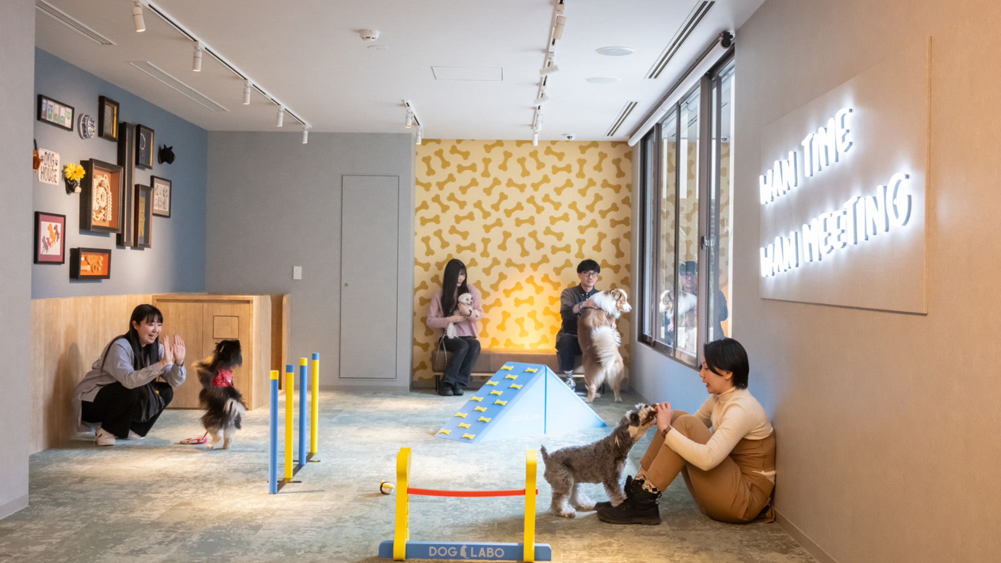 ドッグラウンジイメージ