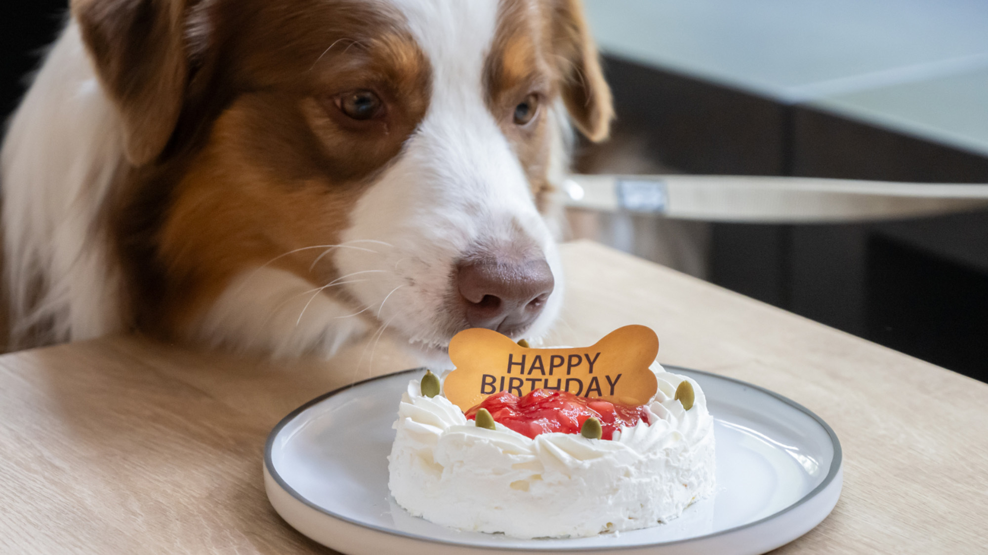 アニバーサリープランケーキイメージ