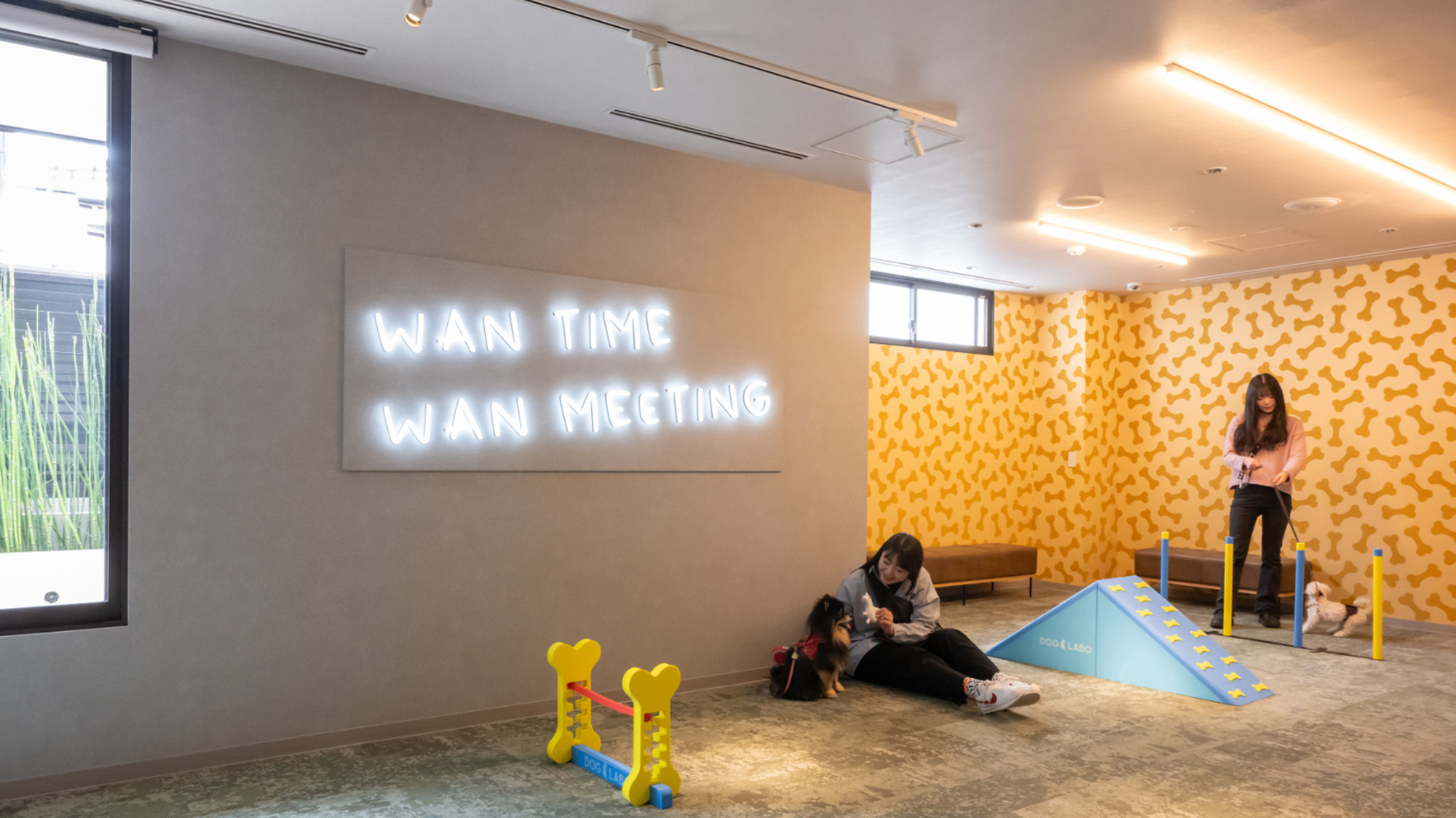 ドッグラウンジイメージ