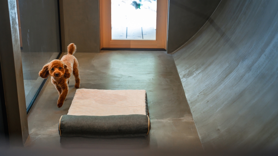 dog room