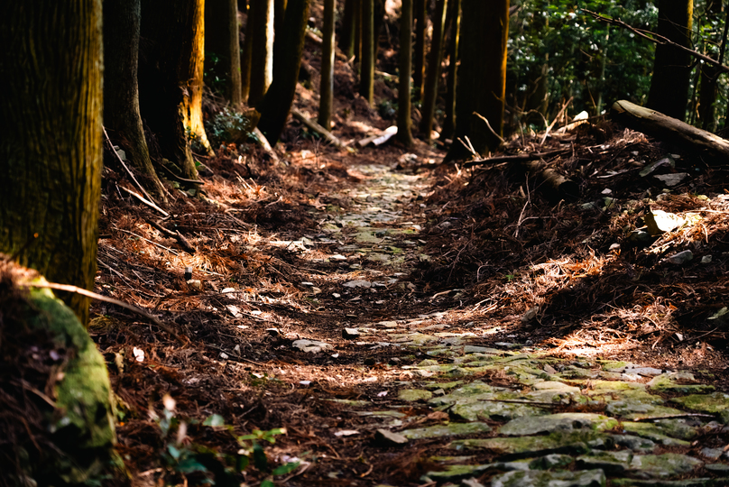 熊野古道①