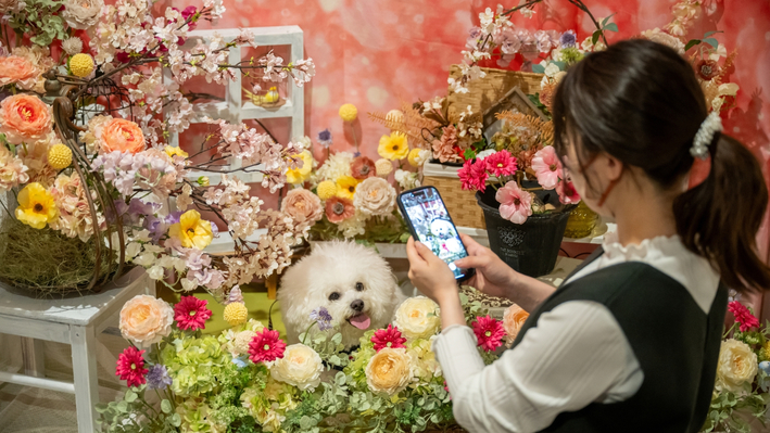 わんちゃんの可愛い写真をパチリ♪滞在中は自由に利用できるフォトスタジオ（無料）