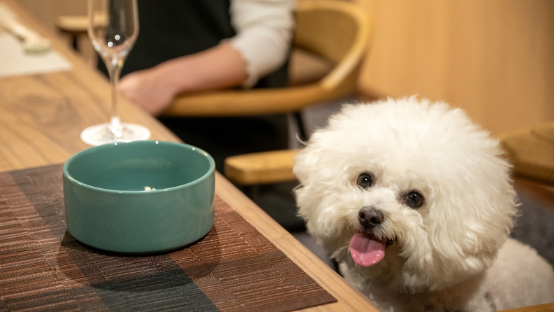 家族みんなでのお食事は、わんちゃんも家族もみんな嬉しい♪もちろん椅子に座ってもOK