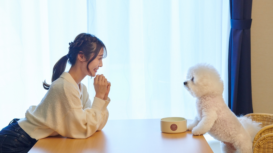 愛するわんちゃんとずーっと一緒！当館はわんちゃんファーストのお宿です